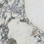 Century Medley С000605608 137266_NoteMol.Ret.60X60 porcelain tile 60x60 cm, Italy, other types of marble - photo 1