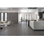 Century Titan 30x60, porcelanato esmaltado, Itália, metal - foto de interior 5