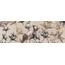 Ceramica Euro Alchemy 8004691 Wings 30*90 granitkeramik 30x90 cm, Italien, övriga typer av sten - foto 1