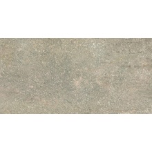 Ceramica Euro Saxa С000575457 50SAXMU_SaxaMuschio25X50 keramisch graniet 25x50 cm, Italië, andere soorten steen - foto 1 - foto 1