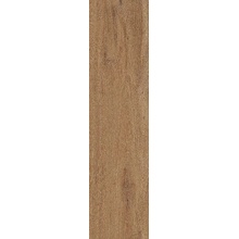 Cercom Briccole С000584763 1077646_Briccola Ambra 20 30X120 porcelanato 30x120 cm, Italia, árbol - foto 1 - foto 1
