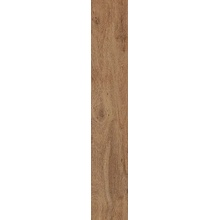 Cercom Briccole С000584774 1079188_BriccolaAmbraR1120X120 porcelanato 20x120 cm, Italia, árbol - foto 1 - foto 1