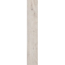Cercom Briccole С000584754 1077634_BriccolaAvorio20X120 porcelanato 20x120 cm, Italia, árbol - foto 1 - foto 1