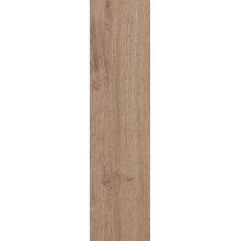 Cercom Briccole С000584761 1077643_BriccolaMiele30X120 porcelanato 30x120 cm, Italia, árbol - foto 1 - foto 1