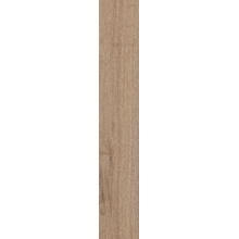 Cercom Briccole С000584755 1077635_BriccolaMiele20X120 porcelanato 20x120 cm, Italia, árbol - foto 1 - foto 1