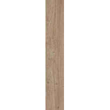 Cercom Briccole С000584757 1077639_BriccolaMieleR1120X120 porcelanato 20x120 cm, Italia, árbol - foto 1 - foto 1