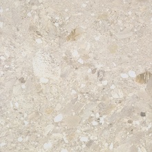 Cercom Ceppo di Grès С000592926 1077654_CeppoAvorioRet60X60 gres porcelanato 60x60 cm, Itália, ceppo di gre - foto 1 - foto 1
