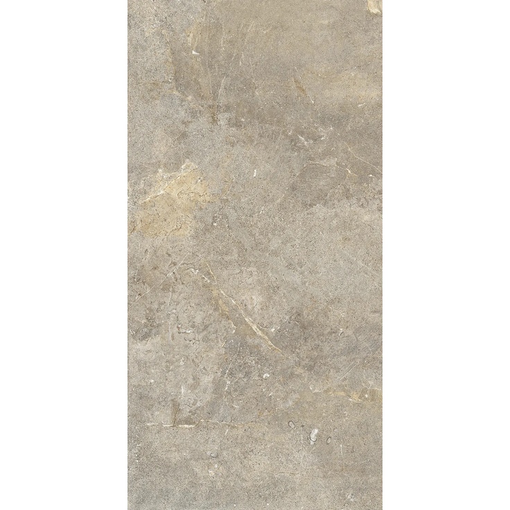 Cercom Everstone С000618112 1089324_EverbrownRet60X120 porcelain tile 60x120 cm, Italy, other types of stone - photo 1 Cercom Everstone С000618112 1089324_EverbrownRet60X120 porcelain tile 60x120 cm, Italy, other types of stone - photo 1