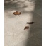 Cercom Stone Vision 30x60, gres porcellanato smaltato, Italia, calcare - foto di interni 11