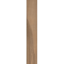 Cerdisa Wood Design С000592782 200531_WddBlondeWalnutNatRet20*120 keramisch graniet 20x120 cm, Italië, hout - foto 1 - foto 1