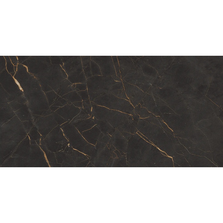 Cerdomus Omnia С000547493 87844_Galaxia gres porcellanato 120x280 cm, Italia, altri tipi di marmo - foto 1 Cerdomus Omnia С000547493 87844_Galaxia gres porcellanato 120x280 cm, Italia, altri tipi di marmo - foto 1
