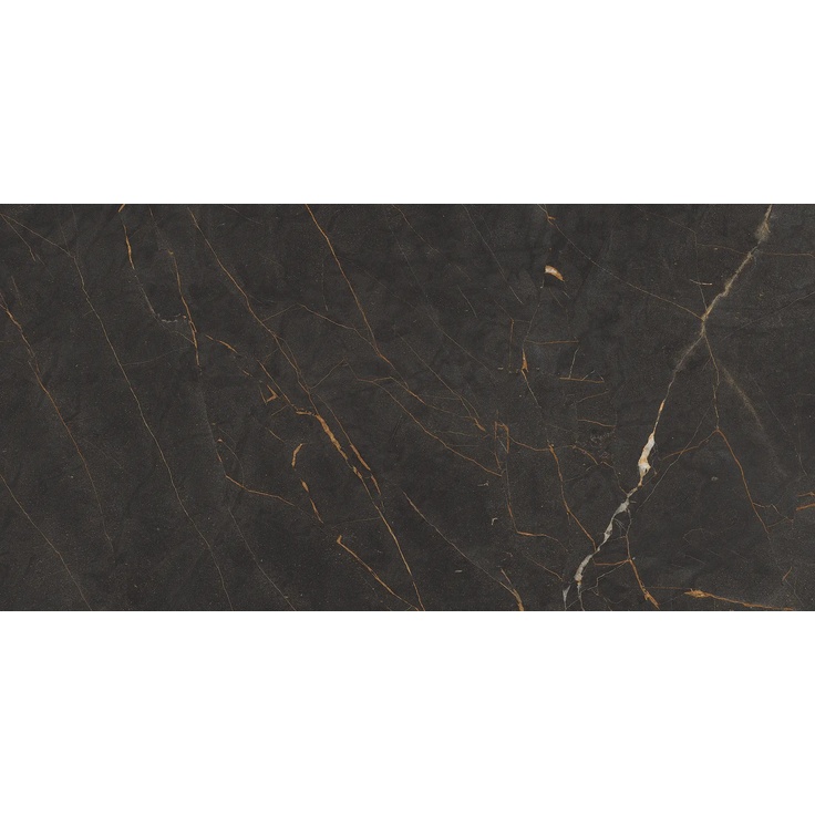 Cerdomus Omnia С000547494 88150_Galaxia gres porcellanato 120x280 cm, Italia, altri tipi di marmo - foto 1 Cerdomus Omnia С000547494 88150_Galaxia gres porcellanato 120x280 cm, Italia, altri tipi di marmo - foto 1