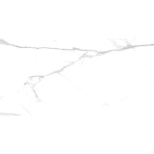 Cerdomus Omnia 88937 Statuario Safe gres porcelanato 60x120 cm, Itália, efeito marmore - foto 1 - foto 1