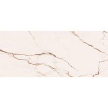 Cerdomus Omnia 88924 Macchia vecchia Matt Ret gres porcelanato 60x120 cm, Itália, efeito marmore - foto 1 - foto 1