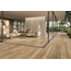 Cerdomus Opera 19,8x22,8, porcelanato não esmaltado, Itália, árvore - foto de interior 16