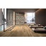 Cerdomus Opera 19,8x22,8, porcelanato não esmaltado, Itália, árvore - foto de interior 1