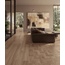 Cerdomus Opera 19,8x22,8, porcelanato não esmaltado, Itália, árvore - foto de interior 5