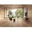 Cerdomus Opera 19,8x22,8, porcelanato não esmaltado, Itália, árvore - foto de interior 7