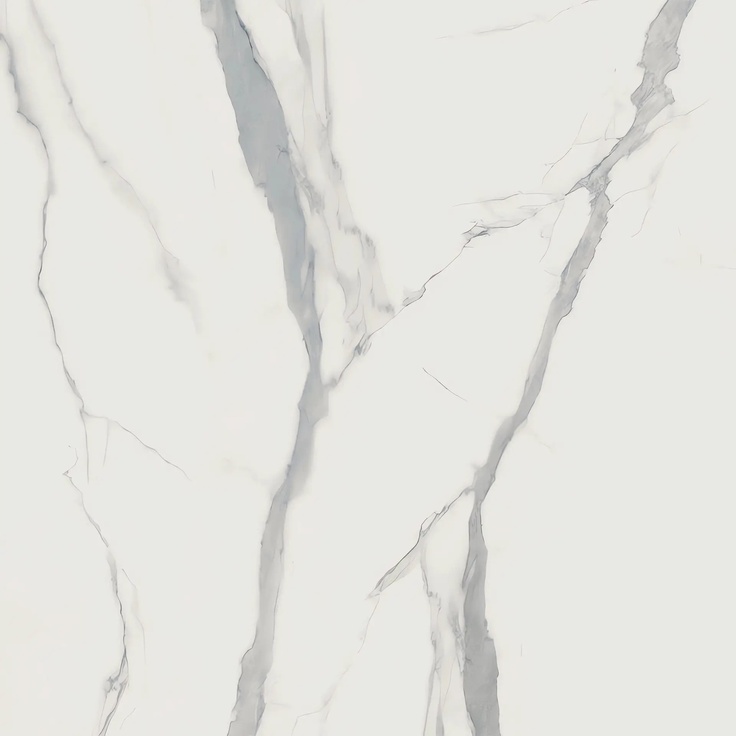 Cerdomus Statuario Bianco С000626991 96584_Bianco120X120 porcelain tile 120x120 cm, Italy, statuario - photo 1 Cerdomus Statuario Bianco С000626991 96584_Bianco120X120 porcelain tile 120x120 cm, Italy, statuario - photo 1