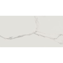 Cerdomus Statuario Bianco 72741 Rettificato porcelain tile 60x120 cm, Italy, marble look - photo 1 - photo 1