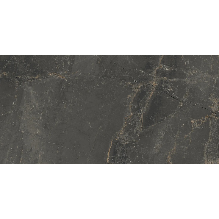 Cerdomus Sybil С000523442 83353_83353_Black_pol porcelain tile 30x60 cm, Italy, other types of marble - photo 1 Cerdomus Sybil С000523442 83353_83353_Black_pol porcelain tile 30x60 cm, Italy, other types of marble - photo 1