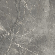 Cerdomus Sybil С000523425 83336_83336_Silver_matt Feinsteinzeug 60x60 cm, Italien, andere marmorsorten - Foto 1 - Foto 1