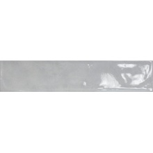 Cerlat Omega С000523319 Omega L53 Aqua azulejo de pared 10,7x53 cm, España - foto 1 - foto 1