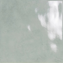 Cerlat Omega С000523317 Omega 24 Sage azulejo de pared 24,3x24,3 cm, España - foto 1 - foto 1
