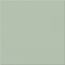 CE.SI. I Colori 5MA200200-50 Matt edera porcelanato 20x20 cm, Italia - foto 1 - foto 1