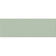 CE.SI. I Colori 5MA100300-50 Matt edera porcelanato 10x30 cm, Italia - foto 1 - foto 1
