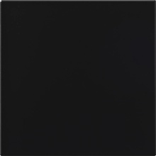 CE.SI. I Colori 5MA200200-32 Matt nero porcelanato 20x20 cm, Italia - foto 1 - foto 1
