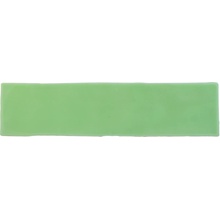 Cevica Alaska С000274220 75X30ALAKIW_Alaska Kiwi veggflis 7,5x30 cm, Spania, monokrom - foto 1 - foto 1