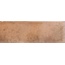 Cevica Amazon С000560438 00000023060_Amazon Camel 7,5x22,5 piastrella da parete 7,5x22,5 cm, Spagna - foto 1 Cevica Amazon С000560438 00000023060_Amazon Camel 7,5x22,5 piastrella da parete 7,5x22,5 cm, Spagna - foto 1