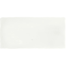 Cevica Antic С000347319 AN75X15GRICL_Antic Gris Claro 7,5*15 veggflis 7,5x15 cm, Spania, monokrom - foto 1 - foto 1