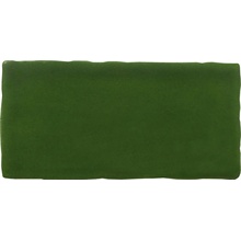 Cevica Antic С000347312 AN75X15VIC_Antic Verde Vic_7,5*15 veggflis 7,5x15 cm, Spania, monokrom - foto 1 - foto 1