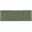 Cevica Terre С000615324 00000024779_Terre5X15Moss Wandfliese 5x15 cm, Spanien - Foto 1