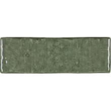 Cevica Terre С000615324 00000024779_Terre5X15Moss wandtegel 5x15 cm, Spanje - foto 1 - foto 1