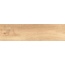 Cicogres Aspen С000619658 Aspen Natural Mate 15,3*58,9 gres porcelánový 15,3x58,9 cm, Španělsko, dřevo - fotografie 1 Cicogres Aspen С000619658 Aspen Natural Mate 15,3*58,9 gres porcelánový 15,3x58,9 cm, Španělsko, dřevo - fotografie 1