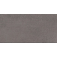 Cinca Essence С000613307 5603498424799_Essence40002Grey29,8*59,8AdRtf gres porcelanato 29,8x59,8 cm, Portugal, concreto - foto 1 - foto 1