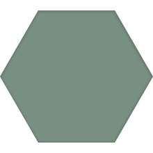 Codicer Basic Hex 25 С000398620 Basic Kale Hex 25 porcelain tile 22x25 cm, Spain, monochrome - photo 1 - photo 1