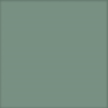 Codicer Basic С000431313 BASIC KALE 25x25 porcelain tile 25x25 cm, Spain, monochrome - photo 1 - photo 1