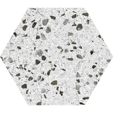 Codicer Venice Hex 25 С000480085 HEX 25 VENICE WHITE RD3 porcelain tile 22x25 cm, Spain, terrazzo - photo 1 - photo 1