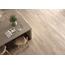 Colorker Zaba 23x120, porcelanato esmaltado, Espanha, árvore - foto de interior 6
