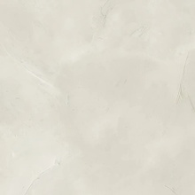 Cotto Petrus Minimal С000550691 MNL011_MINIMAL PLATINUM 60X60 gres porcelanato 60x60 cm, Itália, concreto - foto 1 - foto 1