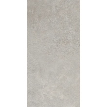 Dado Aspen С000481731 8TB314_Aspen Grigio 31x62 keramisch graniet 31x62 cm, Italië, andere soorten steen - foto 1 - foto 1