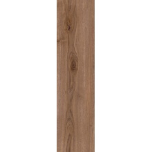 Dado Essenze С000481501 303586_EssenzeSandalo15*60Rect gres porcelanato 15x60 cm, Itália, árvore - foto 1 - foto 1