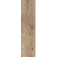 Dado Essenze С000372176 303814_Essenze_vaniglia_nat_30*122_Rect gres porcelanato 30x122 cm, Itália, árvore - foto 1 - foto 1