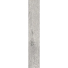 Dado Essenze С000372169 301663/61_Essenze Gelsomino 20x122 posliinilaatta 20x122 cm, Italia, puunaytteinen - kuva 1 - kuva 1