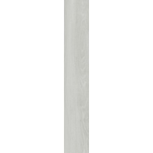 Dado Ikon 303801 Birch Rettificato porcelænsflise 20x122 cm, Italien, trae-look - foto 1 - foto 1