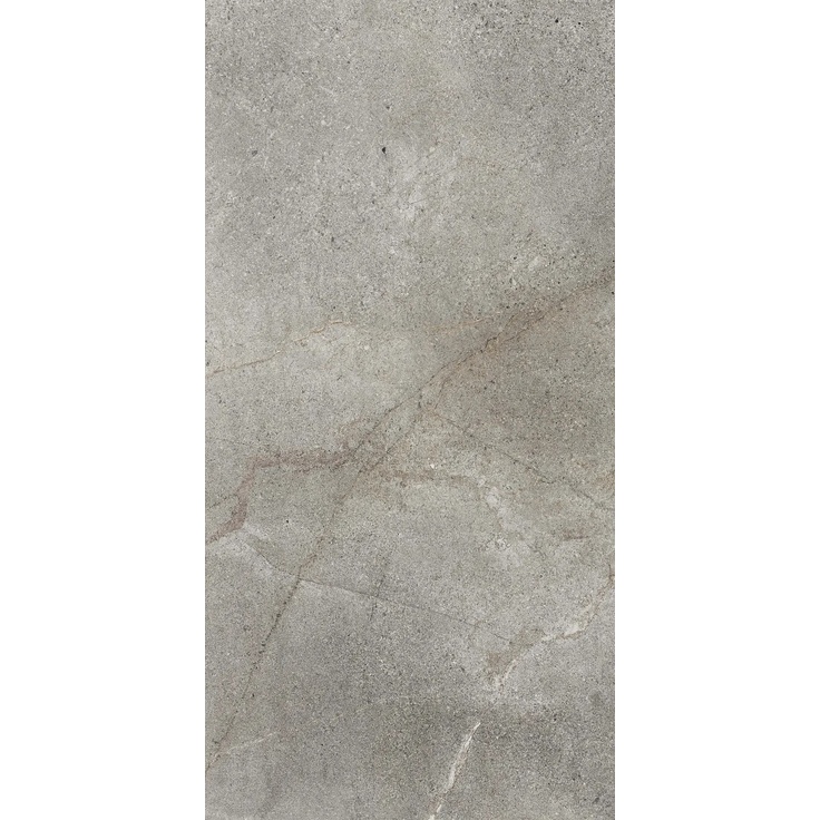 Dado Mask С000574496 304013_MaskSilver60X120Rett porcelain tile 60x120 cm, Italy, other types of stone - photo 1 Dado Mask С000574496 304013_MaskSilver60X120Rett porcelain tile 60x120 cm, Italy, other types of stone - photo 1